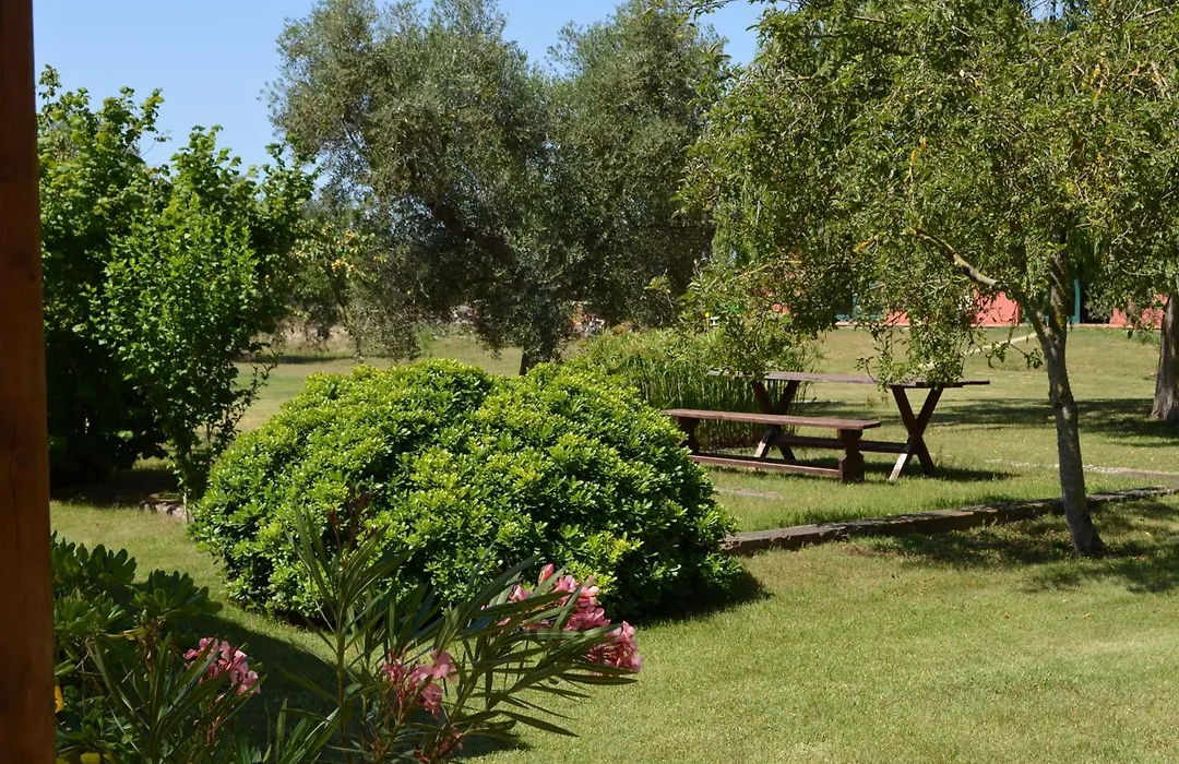 Agrialbergo Capalbio La Sugherella-1